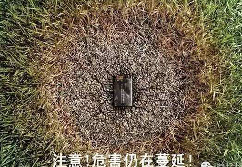 球探平台,球探官方网站(中国),娄底危险废物经营,环保技术开发及咨询推广,环境设施建设,危险废物运营管理